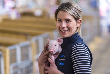 Pig - Royal Show